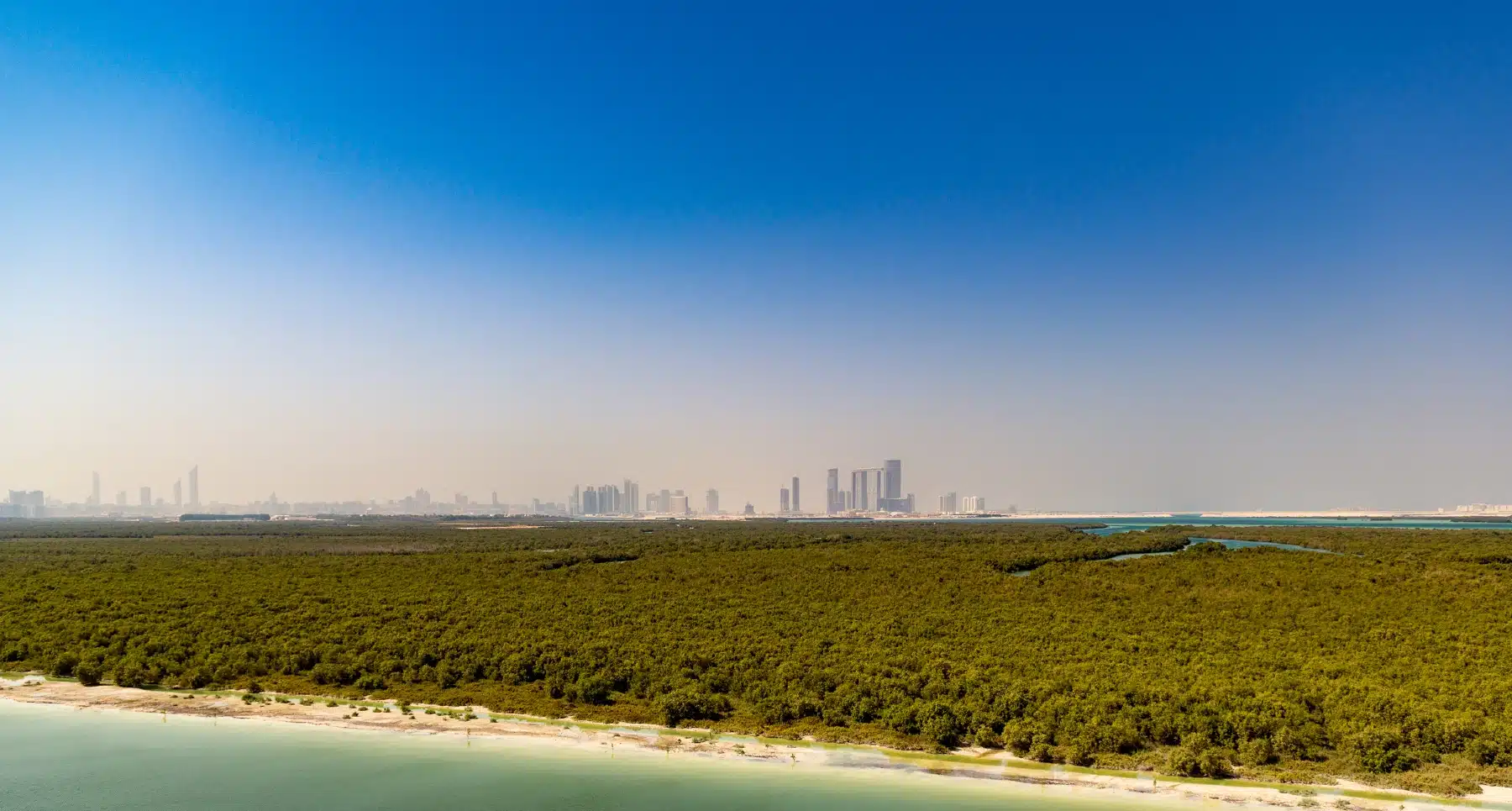 مبادرة «غرس الإمارات» تستكمل زراعة 850 ألف شجرة قرم في أبوظبي