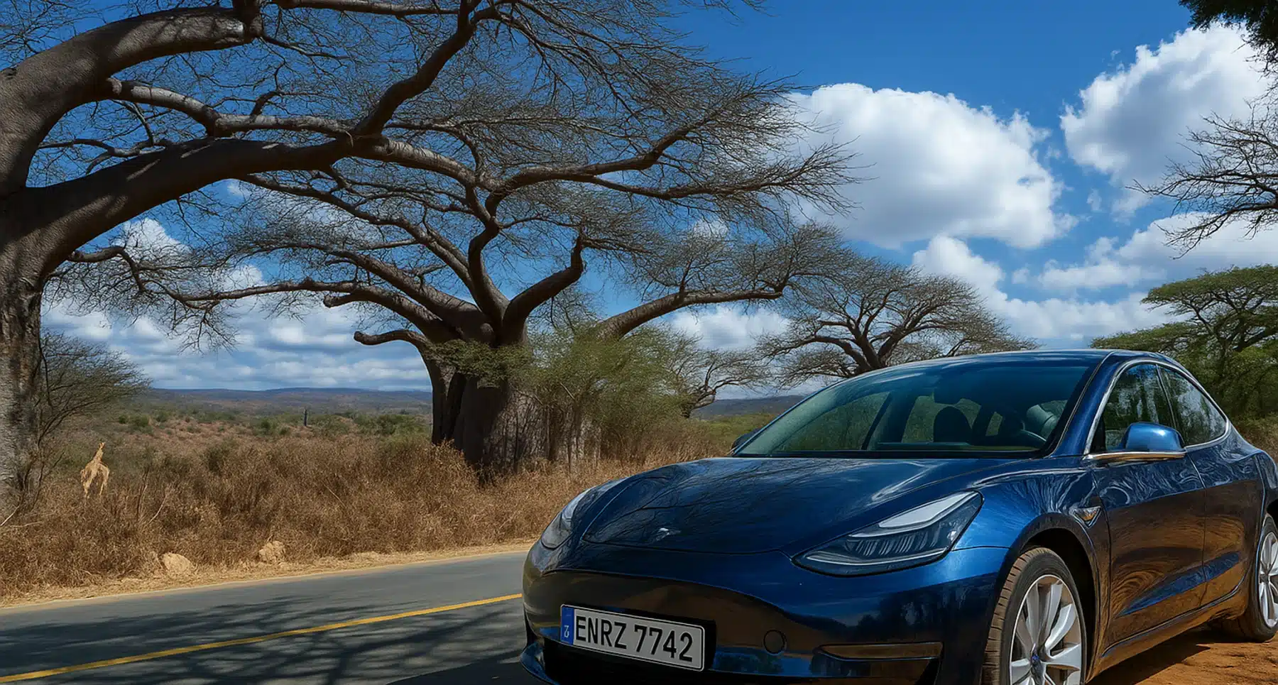 Afrikas EV-Moment: Innovation trifft auf Investition