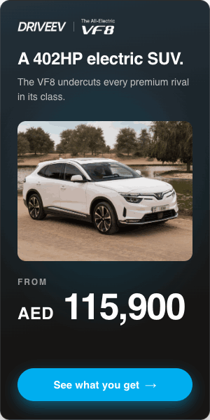 VF8-Ink-300x600 DriveEV